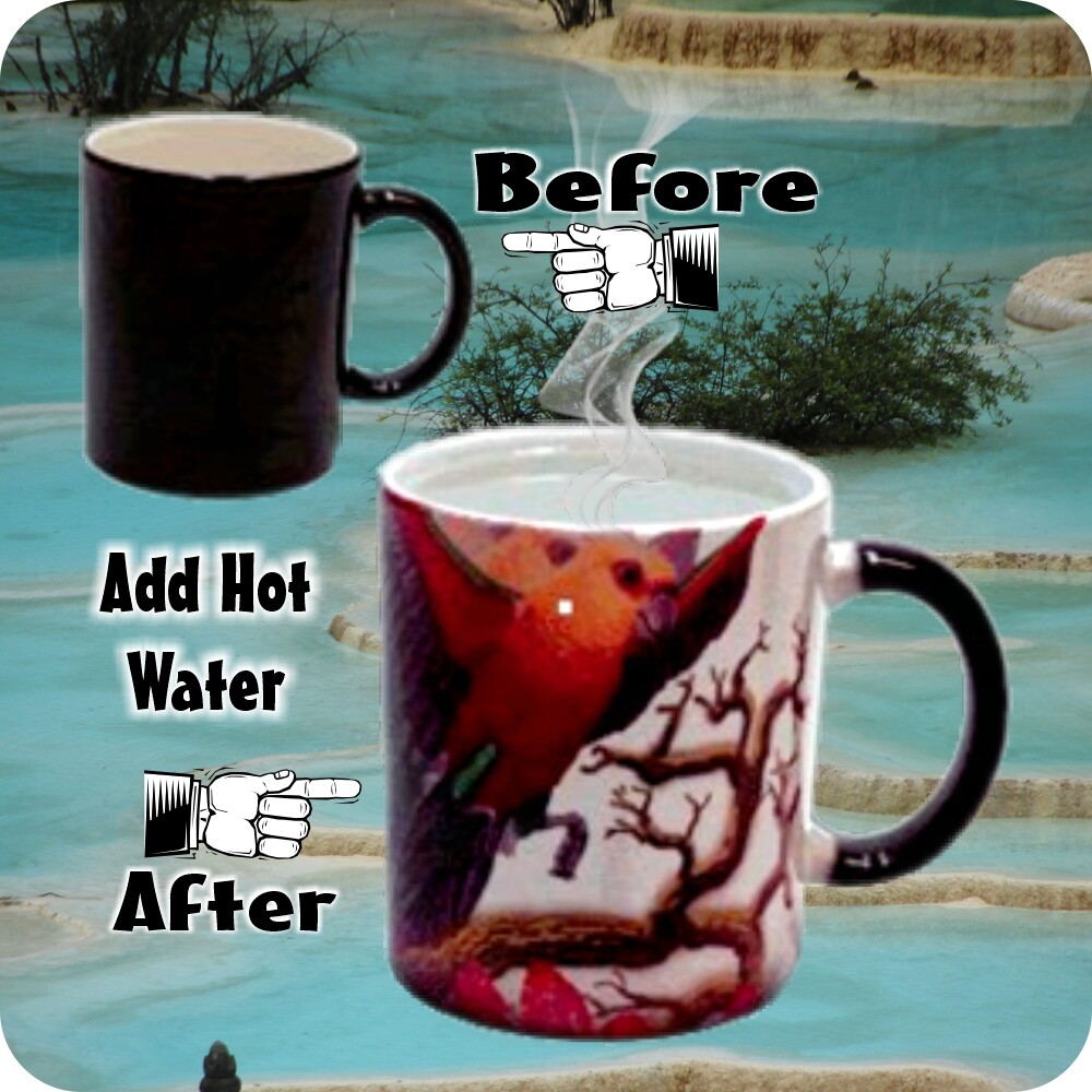 Color Changing Coffee Mug