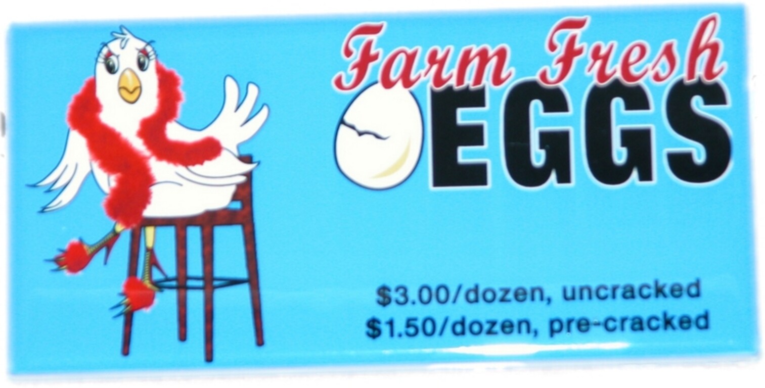 3" x 6" Ceramic Tile (Made in USA) - Image 2