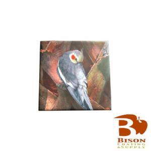 4.25 X 4.25  Bison Tile
