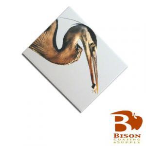 6 X 8  Bison Tile