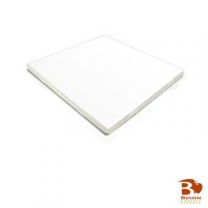 8 X 8  Bison Tile