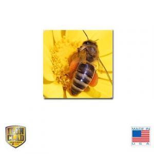 4.25 X 4.25 IronClad Ceramic Tile