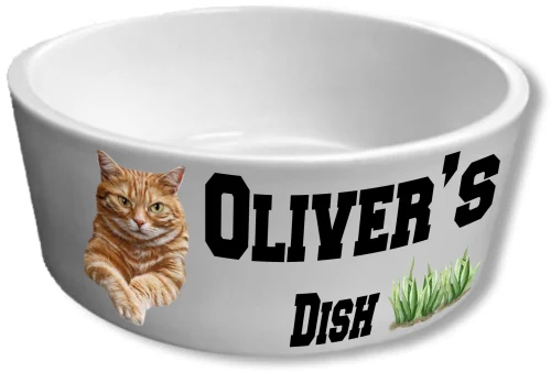 32oz Personalized Pet Bowl!