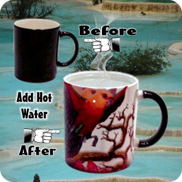 Create Personalized 11oz Magic Photo Coffee Mug