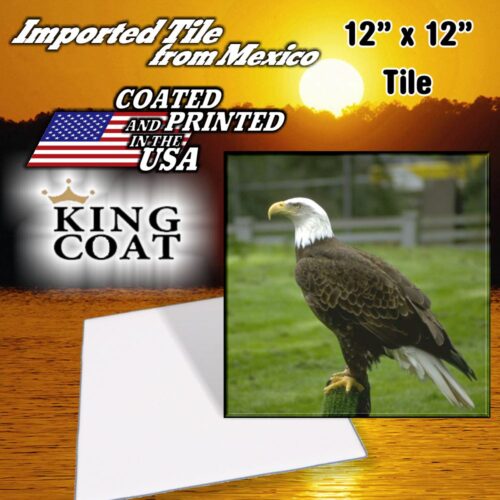 12" ceramic picture tile