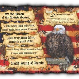 The 2nd Amendment