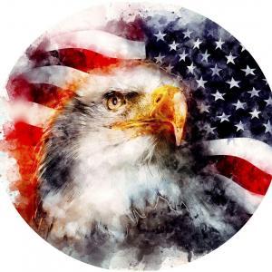 Watercolor Eagle USA Mug
