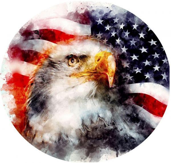 Watercolor Eagle USA Mug
