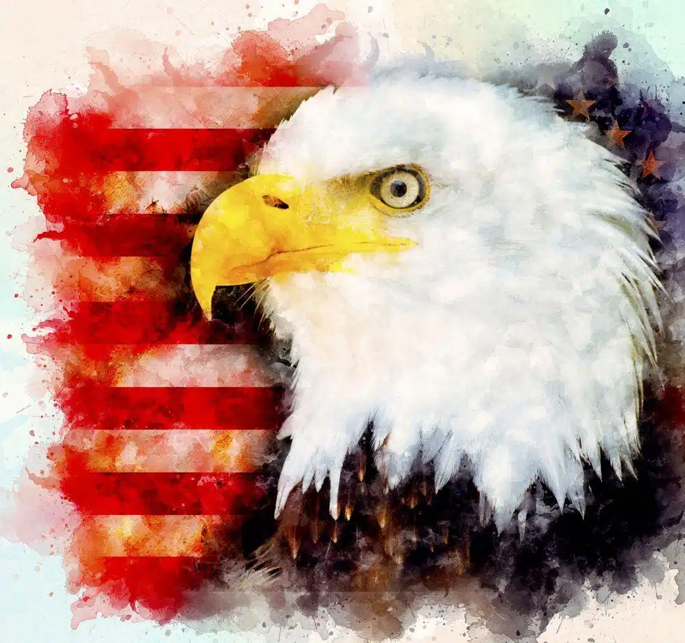 Watercolor Eagle USA Mug