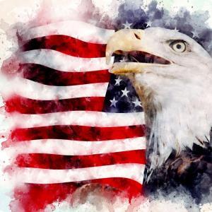Watercolor Eagle USA Mug