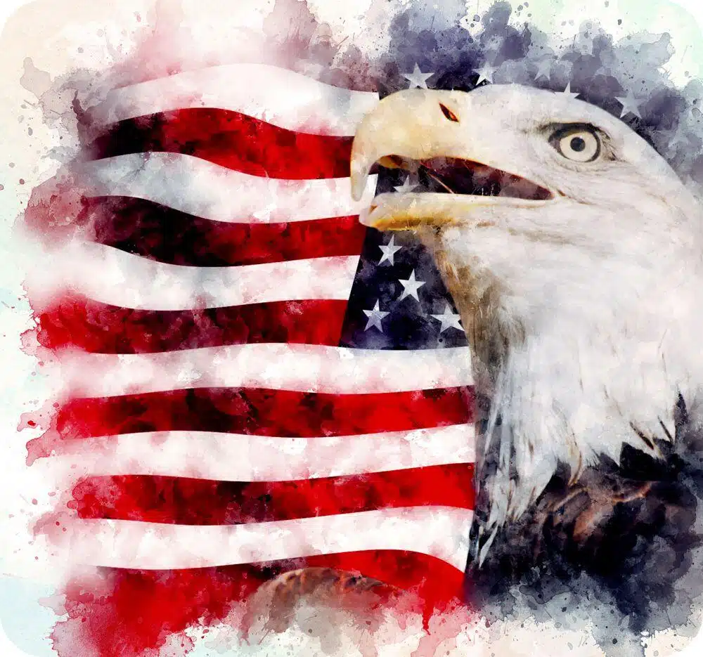 Watercolor Eagle USA Mug