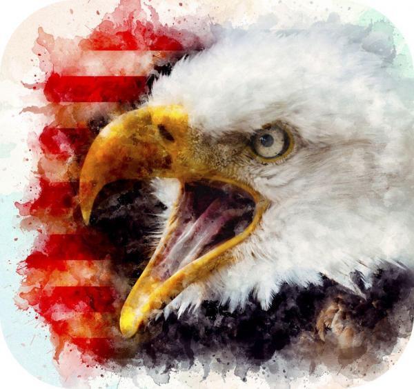 Watercolor Eagle USA Mug