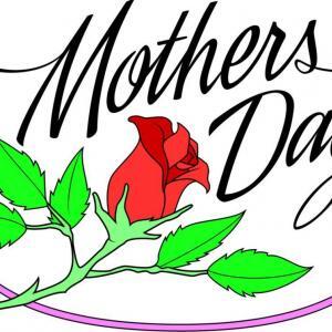 Mother's Day Rose