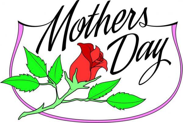 Mother's Day Rose