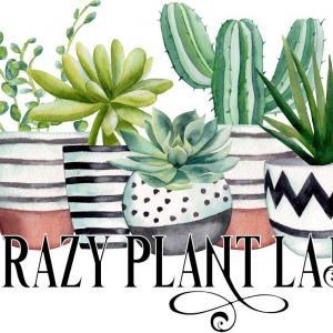 Crazy Plant Lady