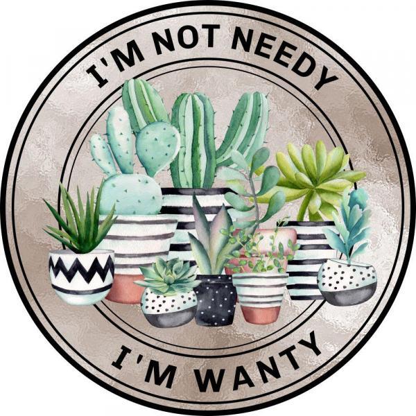 I'm Not Needy I'm Wanty