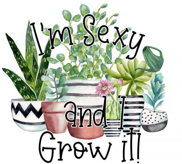 Sexy And I Grow It