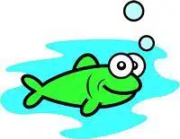 FISH-02
