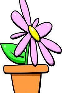 FLOWER02