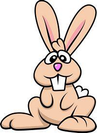 RABBIT