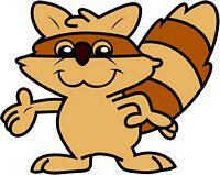RACCOON1