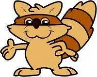 RACCOON1