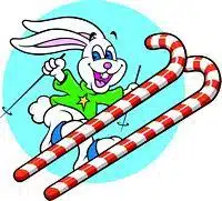 SKIBUNNY