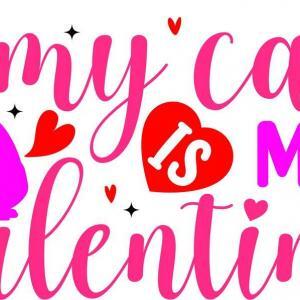 My Cat is my Valentine