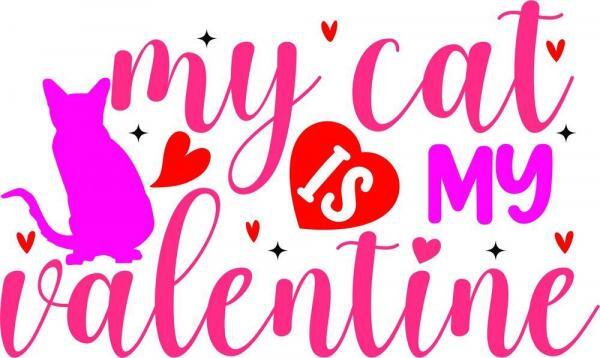 My Cat is my Valentine