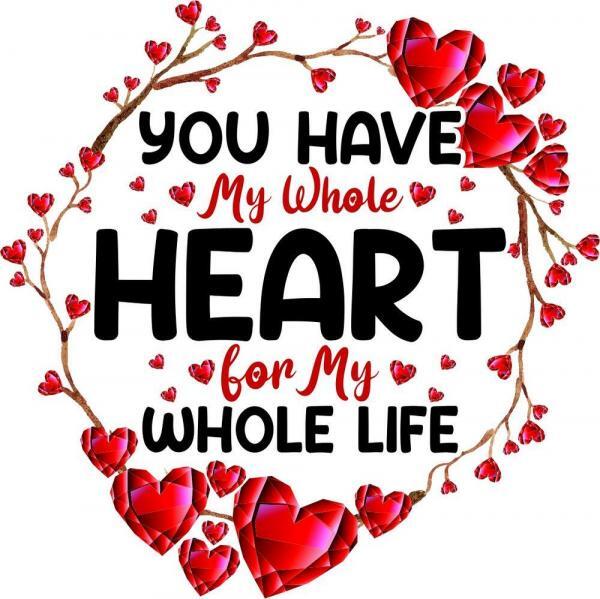 My Heart
