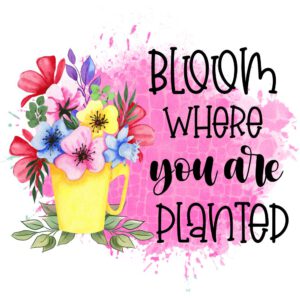 Bloom Where You …